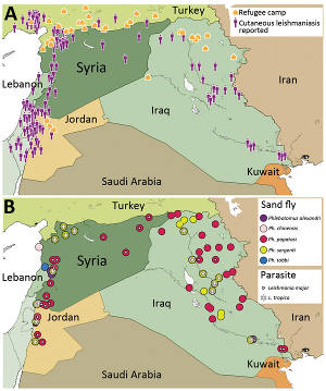 خريطة تُظهر تَوزُّع المرض وذبابة الرمل وأعداد اللاجئين في سوريا وحولها. 